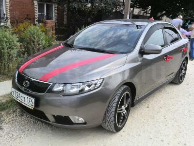 ��� ������ 2010 ���������