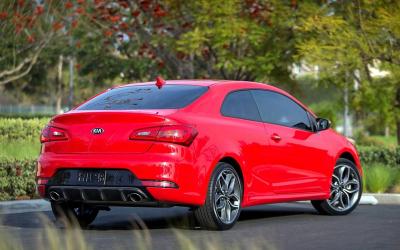 ��� ������ ���� 2013 ����