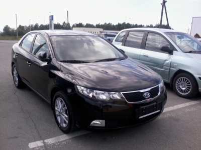 ��� ������ 2012