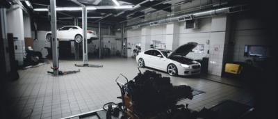 yanis grek ������