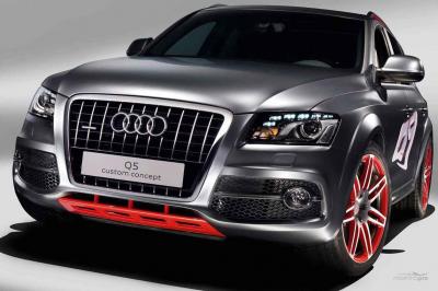 audi q5 ������ ����������